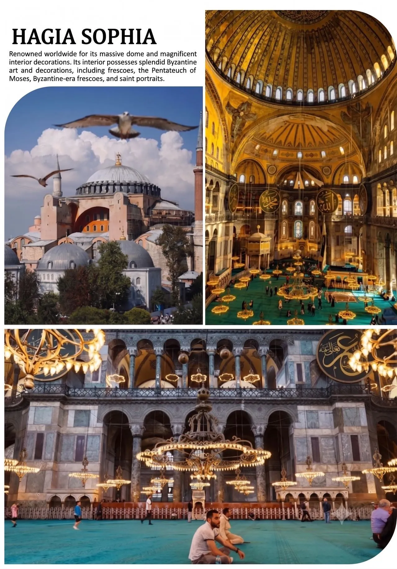 微信图片_20260629155134.jpg