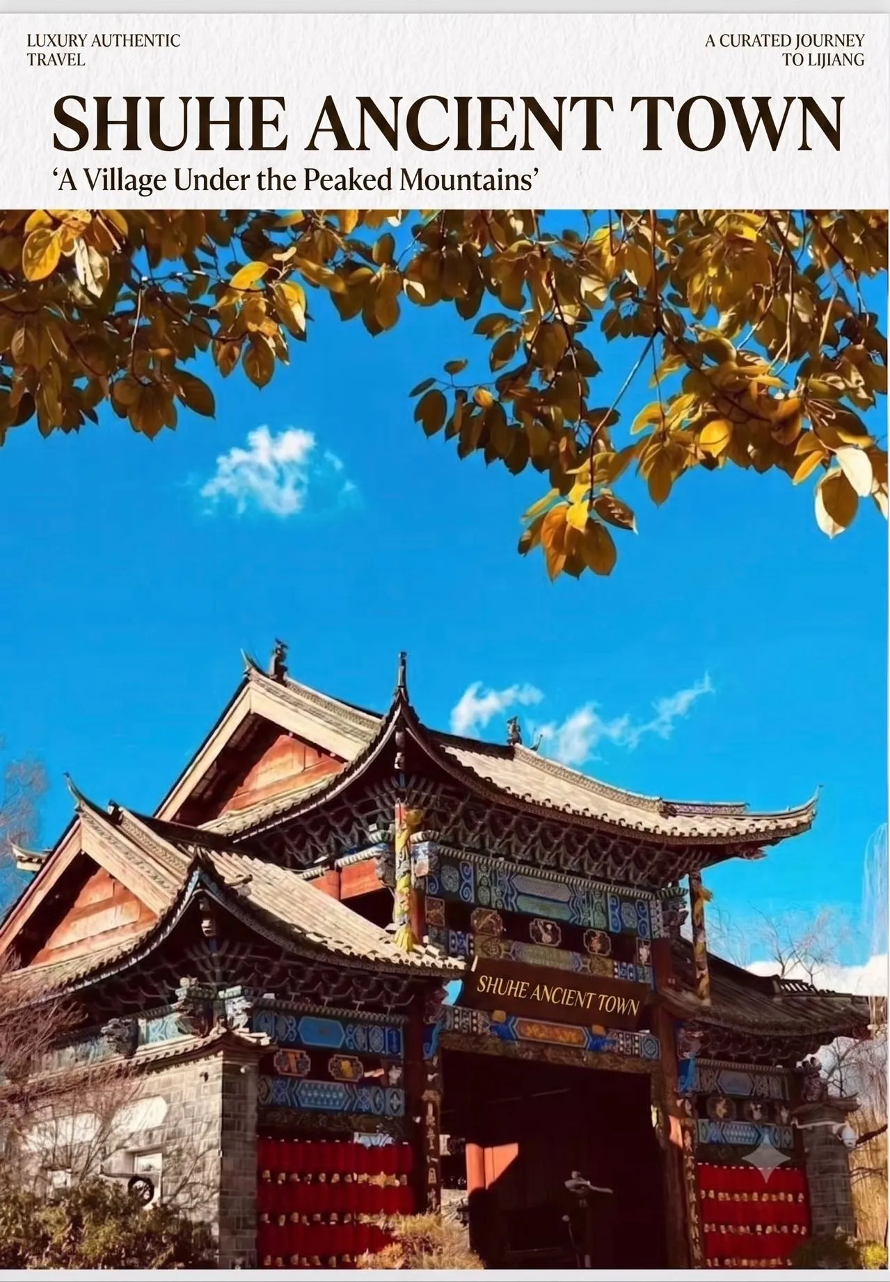 微信图片_20260828165843_23294_195.jpg